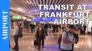 TRANSIT WALK AT FRANKFURT Airport FRA Terminal 1  Connection Flight Transfer Arriving amp Departing [upl. by Ahsinet]