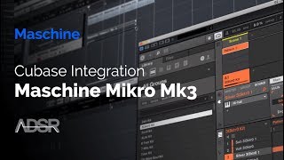 Cubase amp Maschine Mikro MK3 Integration [upl. by Nywles41]