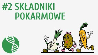 Składniki pokarmowe 2  Odżywianie [upl. by Eveineg427]