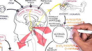 Pharmacology  Antiemetics [upl. by Mortensen]